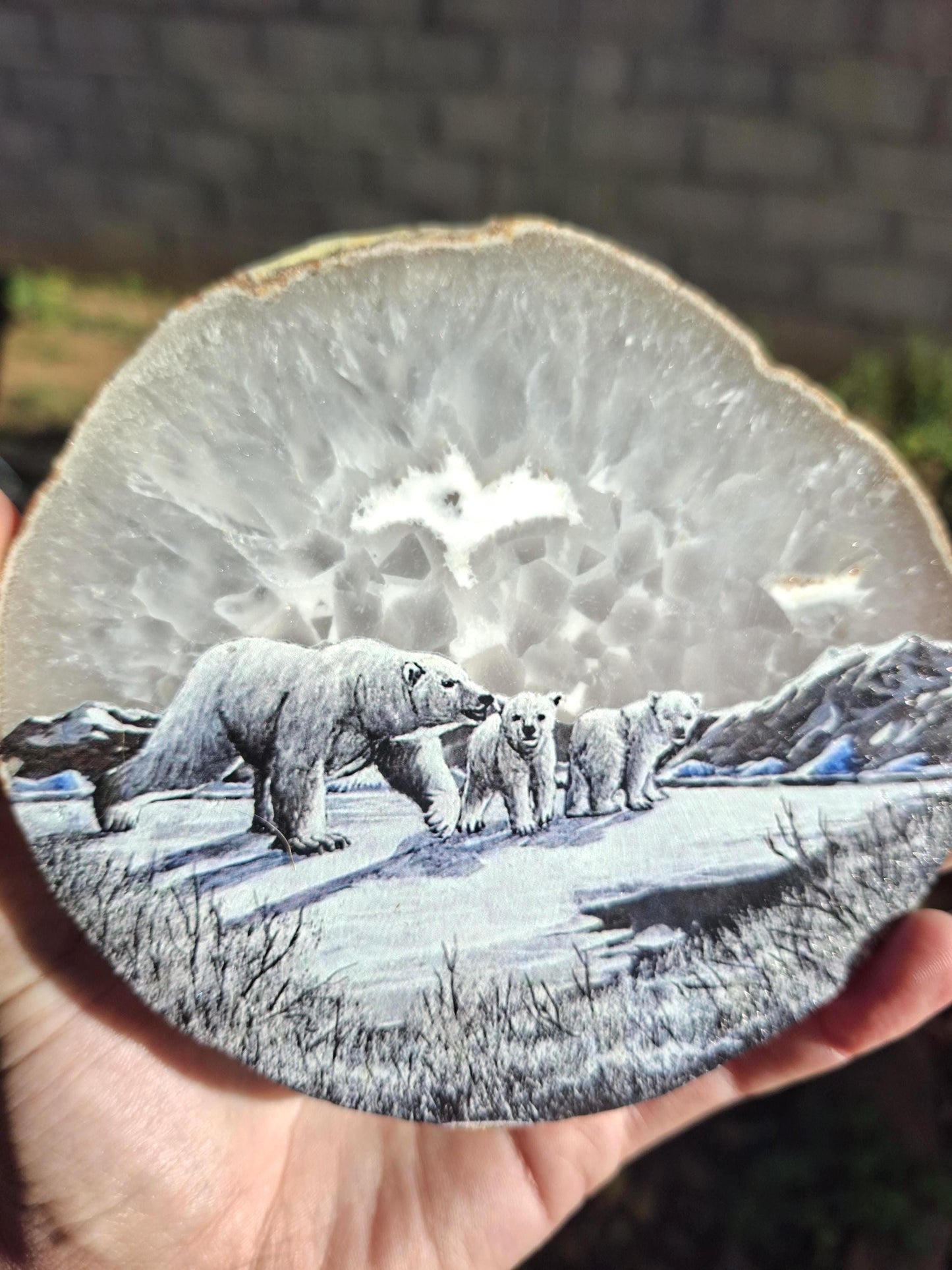 Plaque Agate Botswana, plaque Agate naturelle