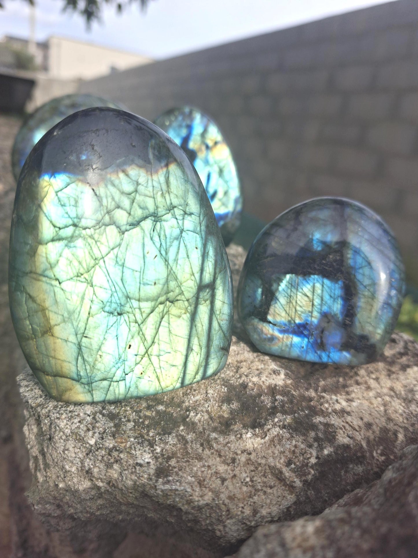Labradorite Madagascar, Labradorite AAA, Labradorite flashy