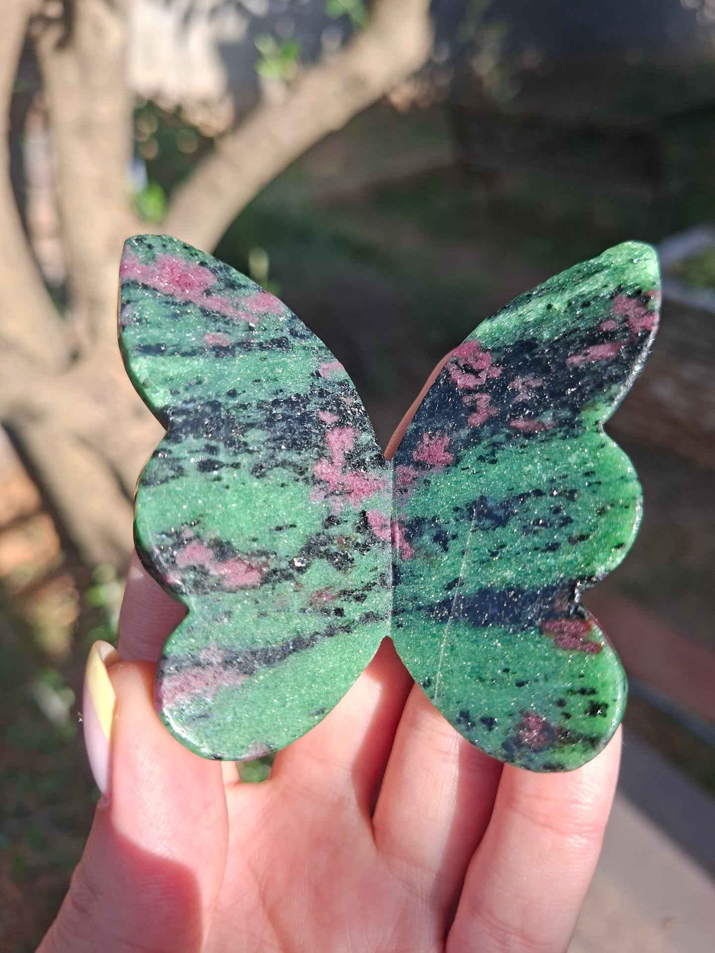 Papillon Rubis sur Zoïsite