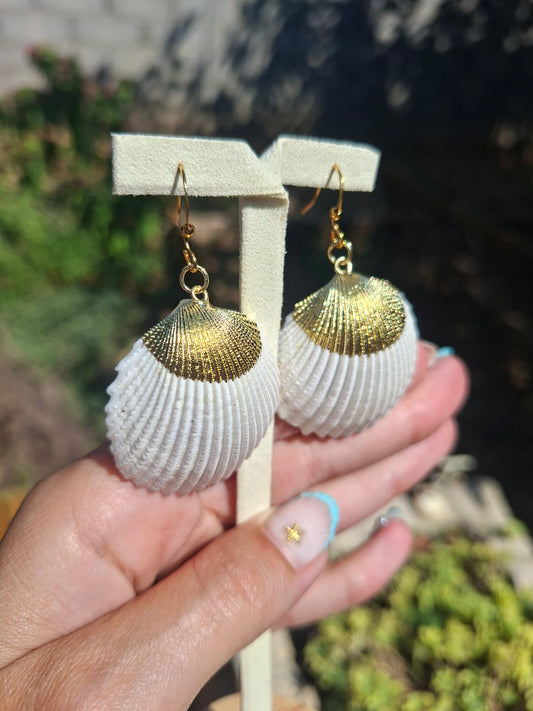 Boucles d'oreilles Coquillages, acier inox