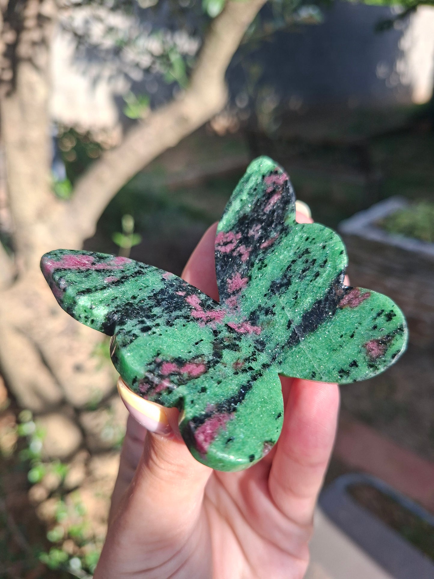 Papillon Rubis sur Zoïsite