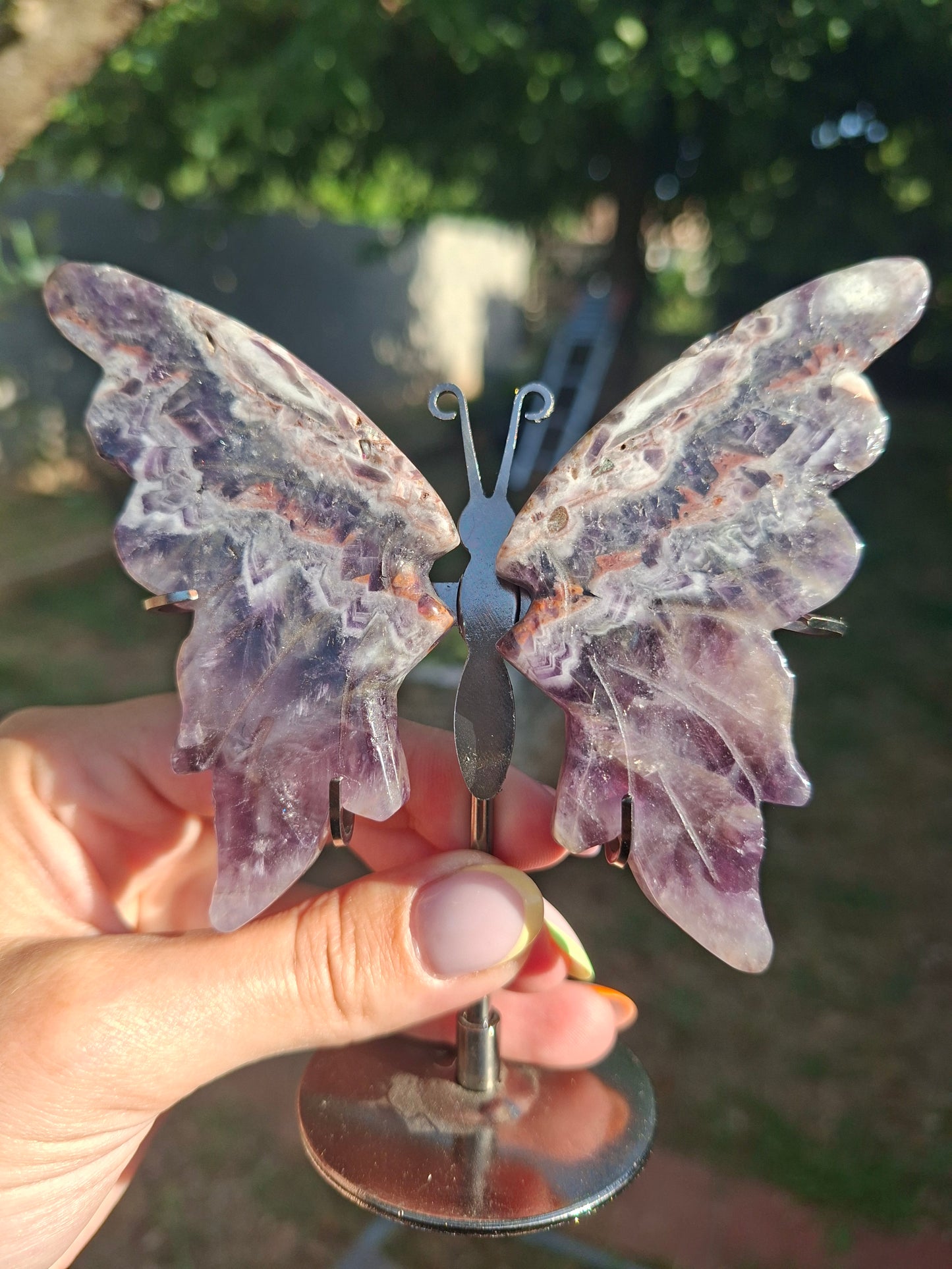 Papillon Améthyste avec socle